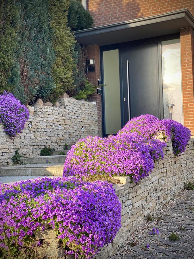 Fewo Seeblick - Familien - Hunde - Strandnah - Ostseeblick - Sauna & Wellness Sierksdorf Exterior photo